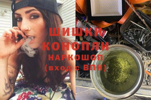 амф Козловка