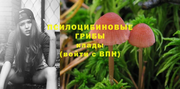 соль курить ск Козельск