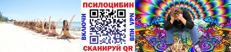 Купить где  Полярные Зори  Галлюциногенные грибы ЛСД 